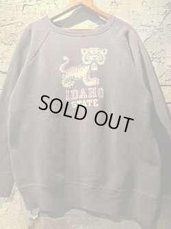 画像1: 1960's “ IDAHO STATE / TIGER ” / 【 SUN FADE NAVY（ナス紺） 】 × COLOR FLOCKY PRINT SWEAT / VERY GOOD FADE 【 小虎ちゃん 】
