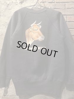 画像1: 1960's “ BROWN SWISS ” / D.NAVY × COLOR FLOCKY PRINT SWEAT / ALMOST DEAD STOCK（SUPER MINTY）